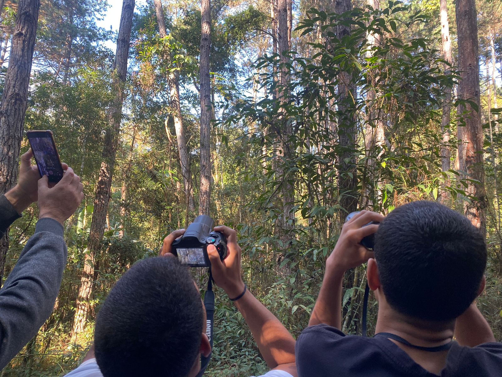 Você está visualizando atualmente Alunos do Colégio Estadual Euclydes da Cunha realizam atividades relacionadas à Observação de Aves no Parque Natural Municipal Montanhas de Teresópolis