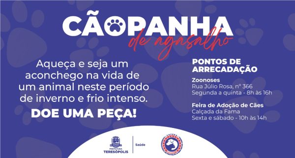 Leia mais sobre o artigo AGASALHO PET: COPBEA promove campanha para arrecadar cobertores e roupas para animais