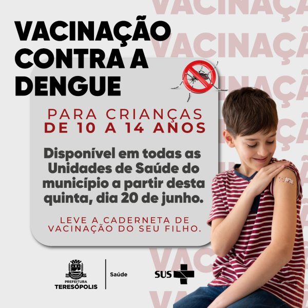 Leia mais sobre o artigo Vacinação contra a dengue: Teresópolis recebe primeiras doses