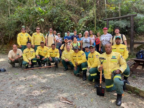 Leia mais sobre o artigo Mutirão de reflorestamento: 1500 mudas são plantadas no Parque Municipal, na Sede da Pedra da Tartaruga