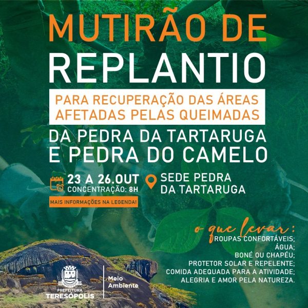 Leia mais sobre o artigo Parque Municipal Montanhas de Teresópolis convida população para mutirão de reflorestamento