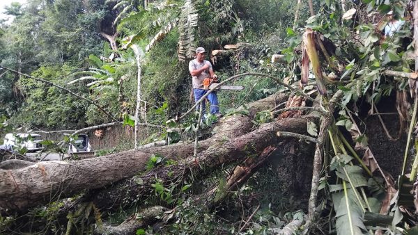 Leia mais sobre o artigo Prefeitura de Teresópolis remove árvore e libera rua na Cascata do Imbuí