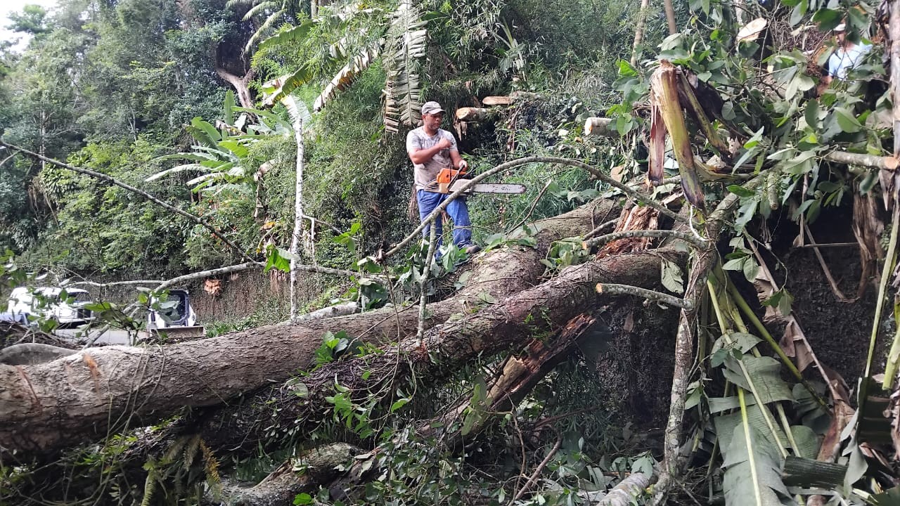 No momento, você está visualizando Prefeitura de Teresópolis remove árvore e libera rua na Cascata do Imbuí