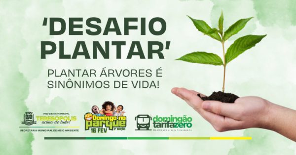 Leia mais sobre o artigo Plantar árvores é sinônimo de vida: SMMA lançará o projeto ‘Desafio Plantar’ durante o evento ‘Domingo no Parque’ neste domingo, dia 16