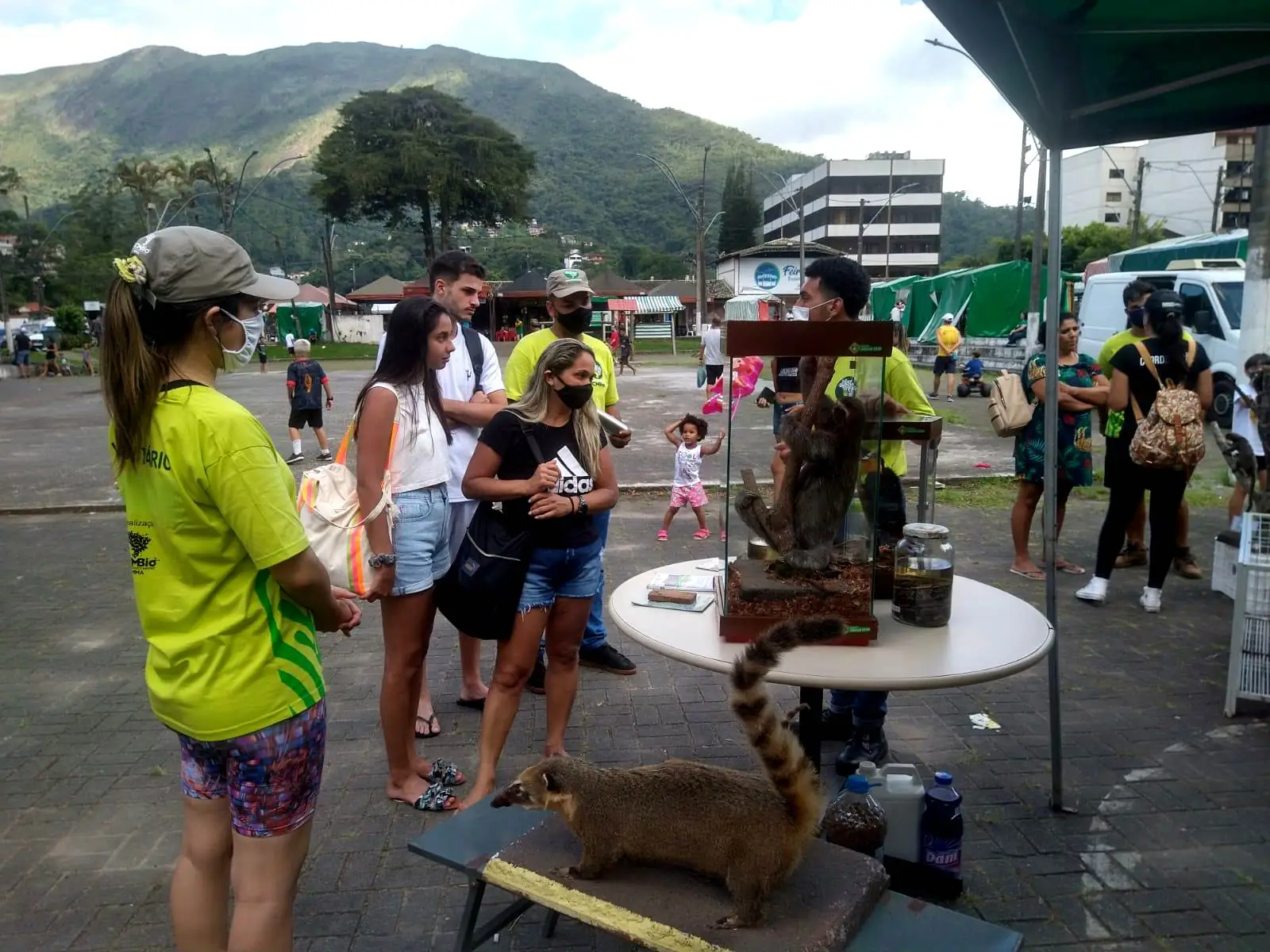 No momento, você está visualizando ‘Adote um Amor’: Feira realizada pela COPBEA registra 2 adoções concretizadas e 4 em andamento