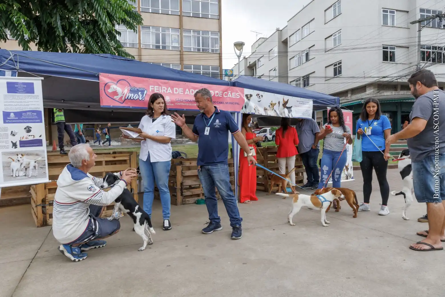 No momento, você está visualizando ‘Adote um Amor’: COPBEA doa cinco cães na última feira de adoção de 2022