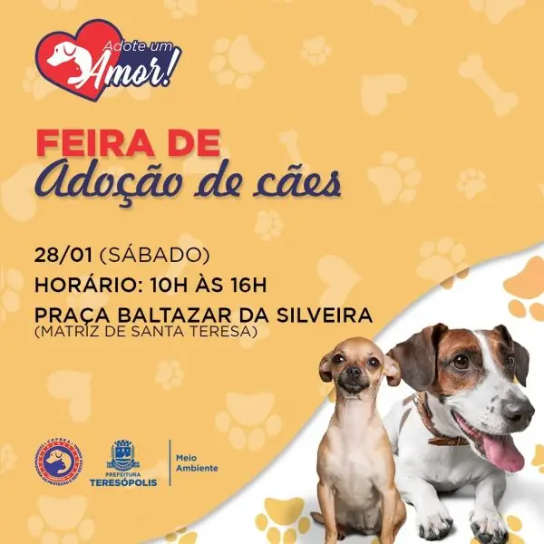 Leia mais sobre o artigo ‘Adote um Amor’: COPBEA realiza mais uma edição da feira de adoção de cães neste sábado, 28/01, na Praça Santa Teresa